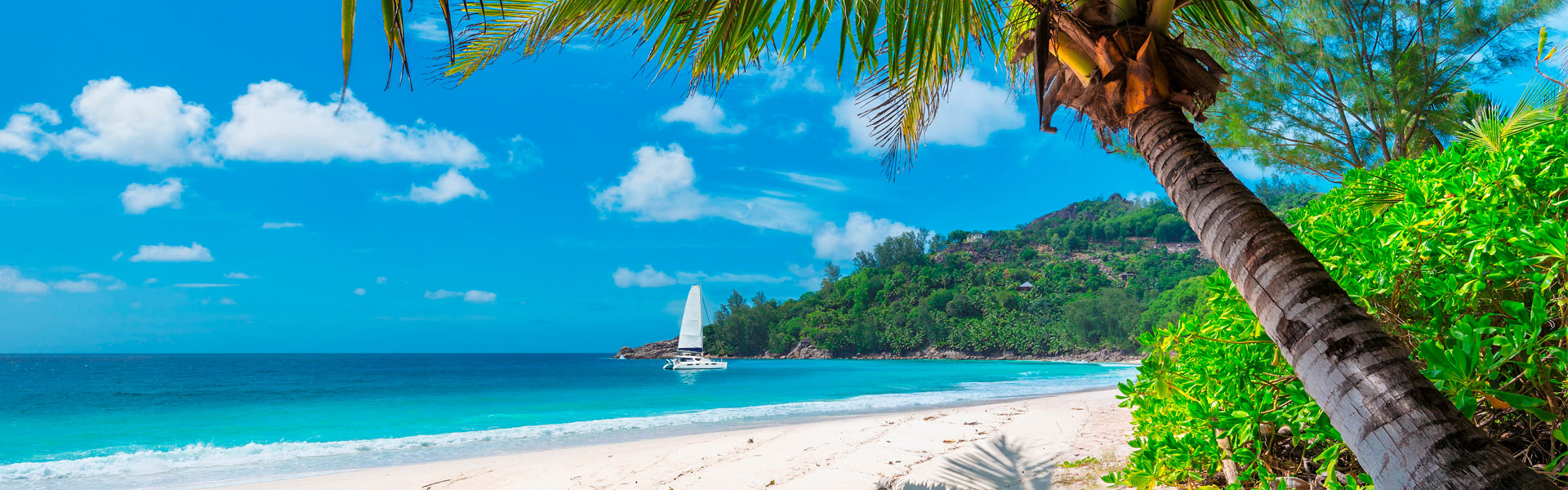 Айфлай — Авиакомпания Ай Флай